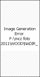_NADIR